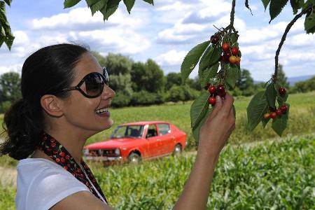 Datsun Cherry 100 A (E10), Baujahr 1975