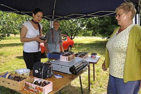 Datsun Cherry 100 A (E10), Baujahr 1975