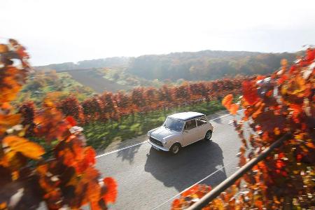 Innocenti Mini Cooper 1300 Export, Seitenansicht