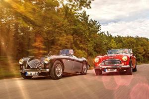 Austin Healey 100 und 3000 MK III