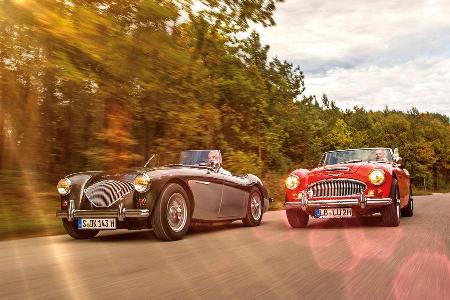Austin Healey 100, Austin Healey 3000 MK II, Frontansicht Austin Healey 100, Austin Healey 3000 MK II, Frontansicht