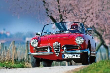 Alfa Romeo Giulia Spider, Frontansicht