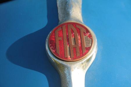 Fiat 1500 Ghia, Emblem