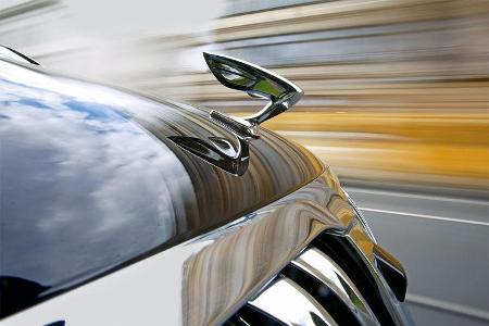 Hyundai Equus, Kühlerfigur