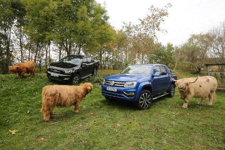 Ford Ranger 3.2 TDCi, VW Amarok 3.0 TDI, Frontansicht