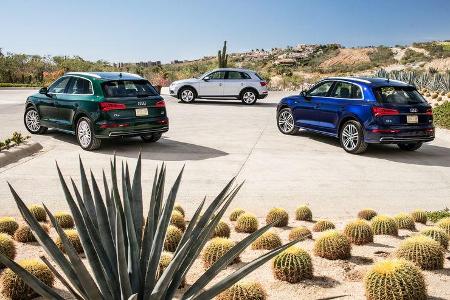 Audi Q5, Modelltypen