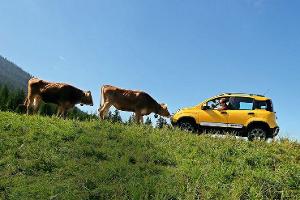 Fiat Panda Cross, Almabtrieb, Impression
