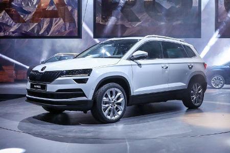 Skoda Karoq Schriftzug