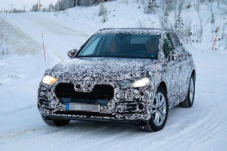 Erlknig Audi Q5