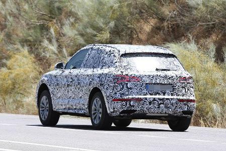Erlknig Audi Q5