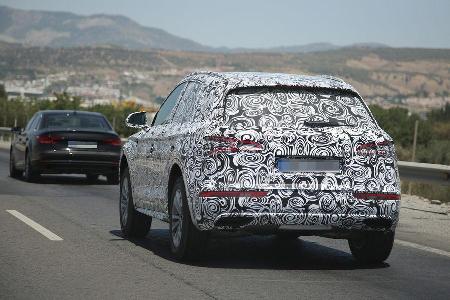 Erlknig Audi Q5