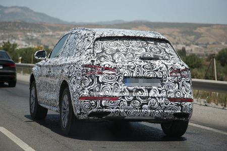 Erlknig Audi Q5