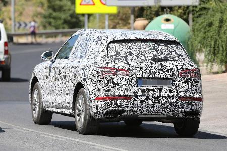Erlknig Audi Q5