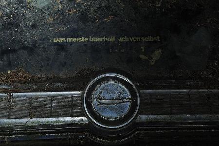 Auto-Friedhof