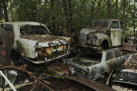 Auto-Friedhof