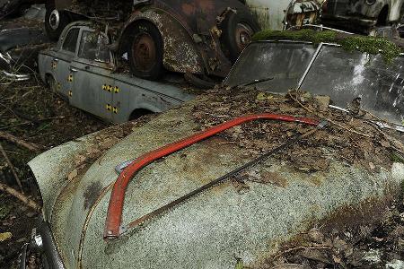 Auto-Friedhof