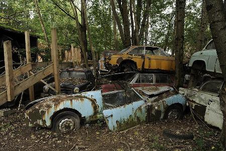 Auto-Friedhof