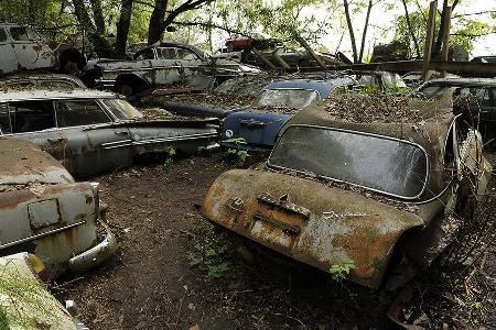 Auto-Friedhof
