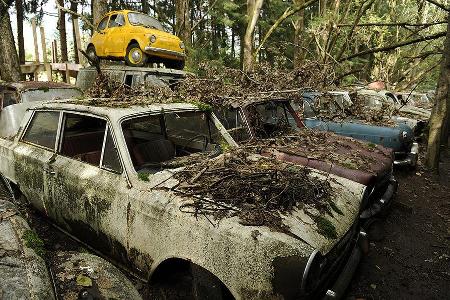 Auto-Friedhof