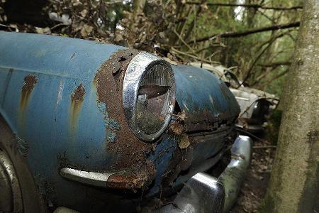Auto-Friedhof