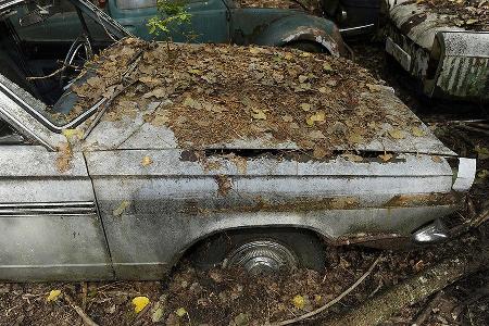 Auto-Friedhof