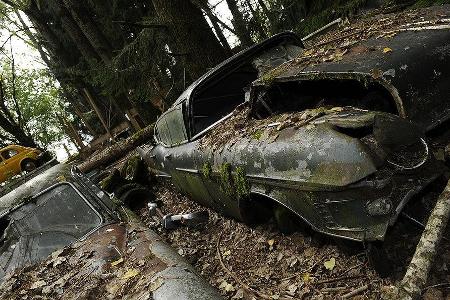 Auto-Friedhof