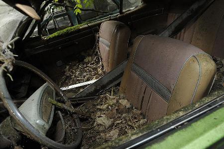 Auto-Friedhof