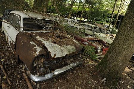 Auto-Friedhof