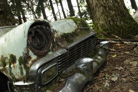 Auto-Friedhof