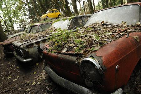Auto-Friedhof