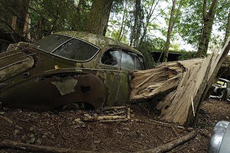 Auto-Friedhof