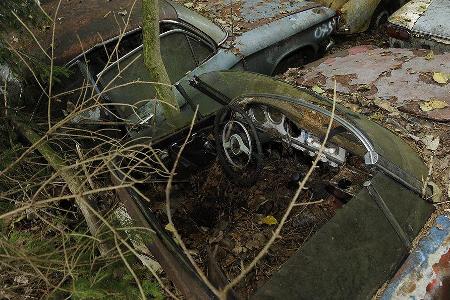 Auto-Friedhof