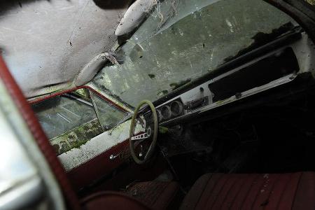 Auto-Friedhof