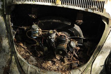 Auto-Friedhof