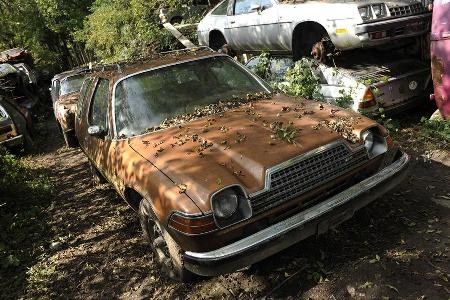 Auto-Friedhof