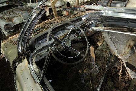 Auto-Friedhof