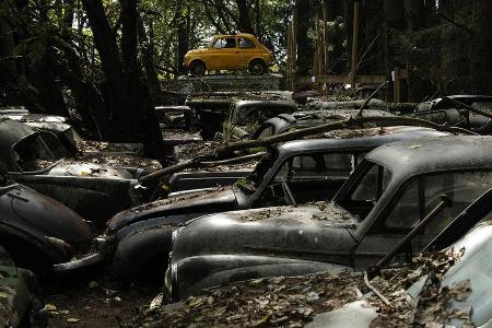 Auto-Friedhof