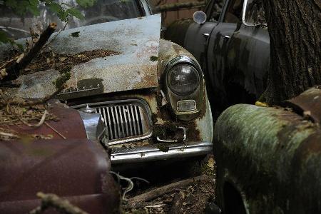 Auto-Friedhof