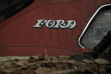 Auto-Friedhof