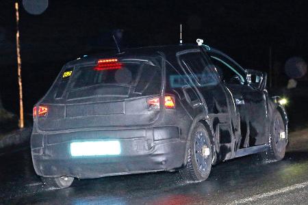 Seat Ibiza Erlknig