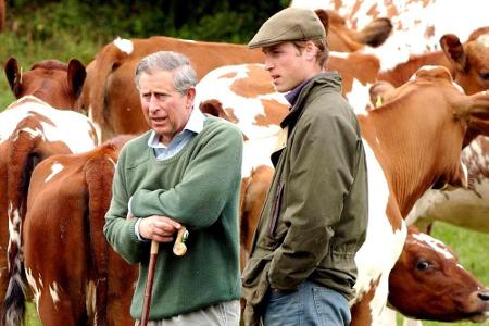 Seit Jahrzehnten setzt sich Charles mit seinen Stiftungen für Natur- und Klimaschutz, Regenwald und Artenvielfalt ein. Die ö...