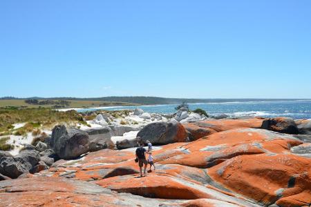 Die Bay of Fire ist laut der Expertin einer der schönsten Küstenabschnitte Tasmaniens.