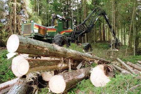20.07.2001, Filipstad, Varmland, SWE, SCHWEDEN - Abholzung e...