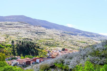 Auch in Spanien können sich die Kirschbäume sehen lassen. Drei Stunden westlich von Madrid liegt das Jerte-Tal, das unter ei...