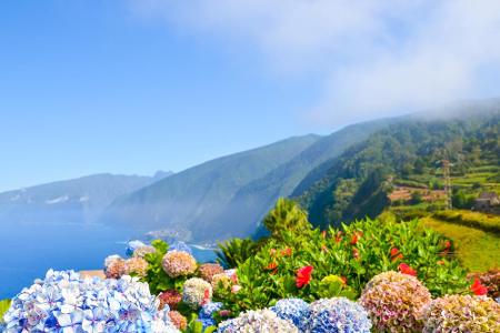 Sie gilt als Insel des ewigen Frühlings: Madeira grünt und blüht fast das ganze Jahr. Selbst wenn man also wegen Corona nich...