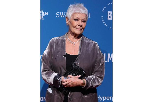 ...Judi Dench, dass Ridley Scott Kevin Spacey aus seinem Film 'Alles Geld der Welt' geschnitten hat. Dies sei historisch nic...