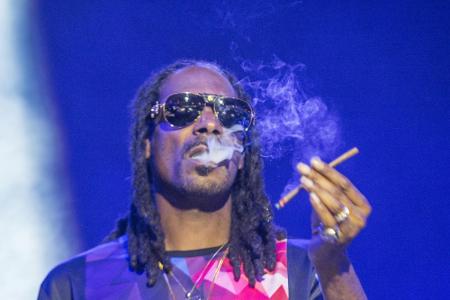 Drogen sind hingegen Snoop Doggs (45) Metier. Wegen unerlaubtem Besitz wurde er schon mehrmals festgenommen. Im Jahr 1993 wu...