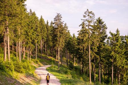 Der Rennsteig im Thüringer Wald zählt zu den beliebtesten Wanderwegen Deutschlands. Misch- und Nadelwälder sowie fantastisch...