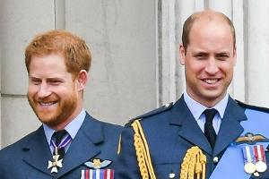 Prinz William und Prinz Harry: Getrennte Reden zu Ehren von Diana?