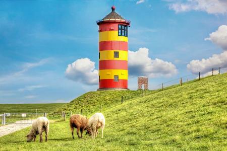 Ein absoluter Traum: Ostfriesland lockt mit grünen Wiesen, Wattenmeer und wunderschönen Sanddünen. Mit einem Tässchen Tee lä...